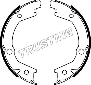 Brake Shoe Set, parking brake TRUSTING 046.220