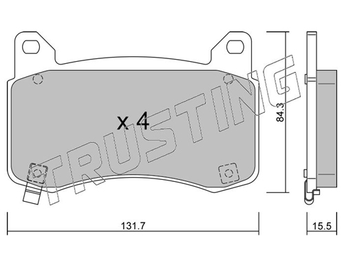Brake Pad Set, disc brake TRUSTING 1333.0