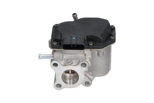 EGR Valve KAVO PARTS EEG-9022