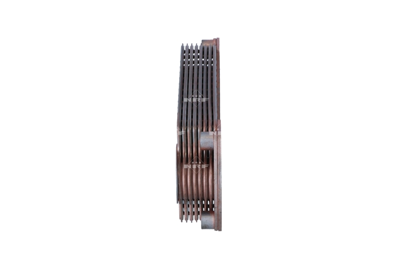 Radiador de aceite, aceite motor NRF 31198