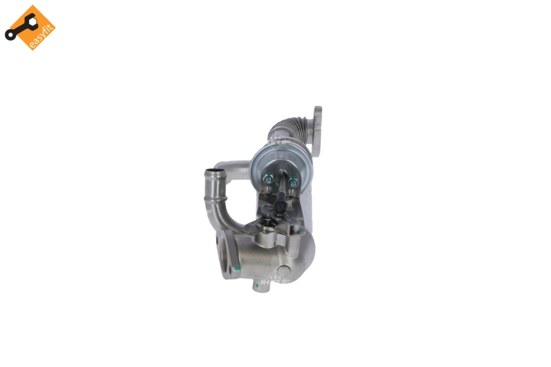 Módulo EGR NRF 48313