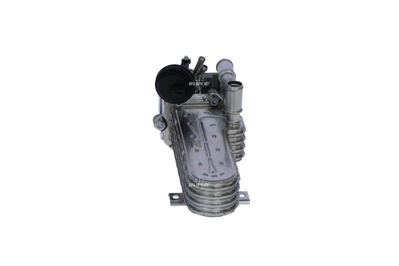 Módulo EGR NRF 48360
