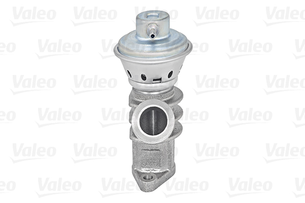 EGR Valve VALEO 700405