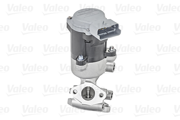 EGR Valve VALEO 700410