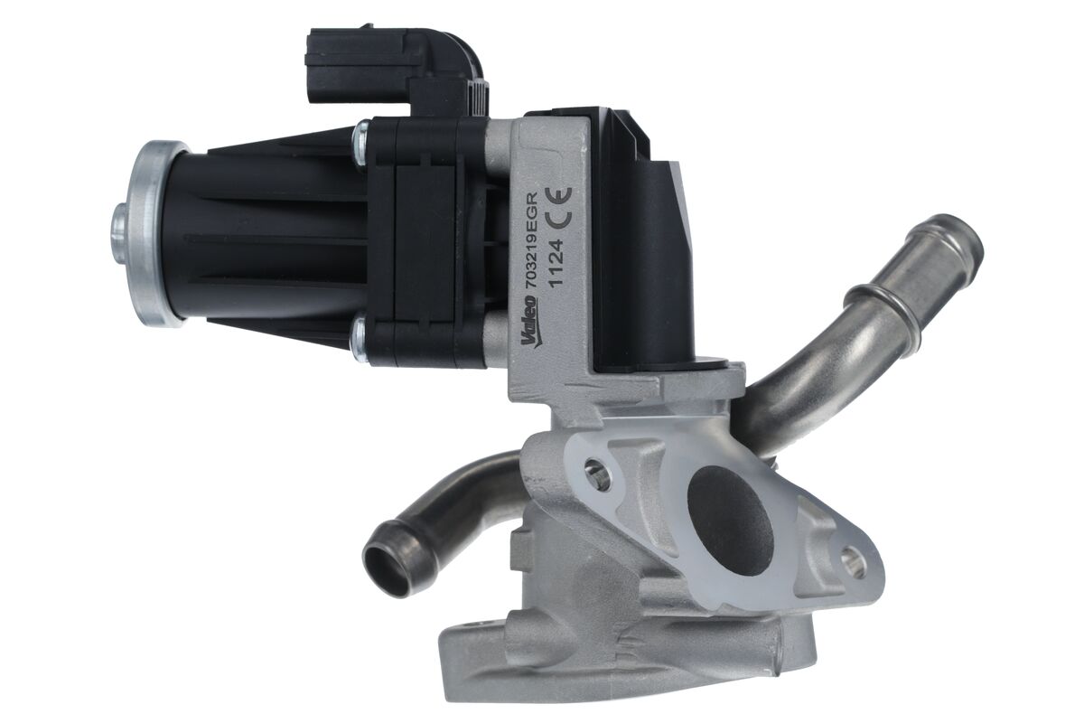 EGR Valve VALEO 703219
