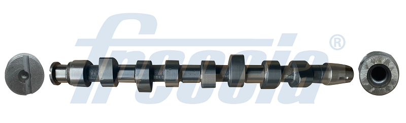 Camshaft FRECCIA CM05-2217