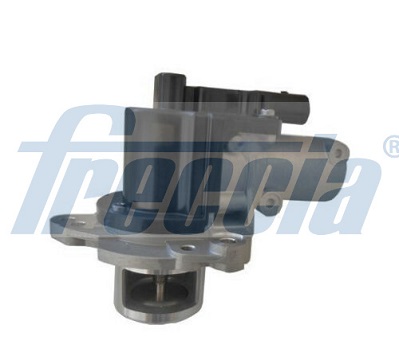 EGR Valve FRECCIA EGR12-202