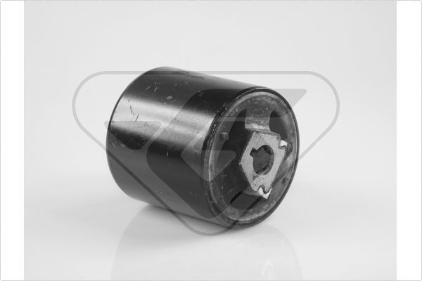 Control Arm-/Trailing Arm Bush HUTCHINSON 590110