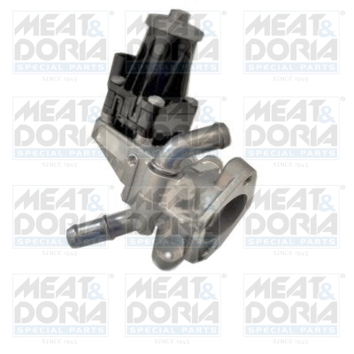 EGR Valve MEAT & DORIA 88255E