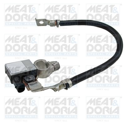 Sensor, battery management MEAT & DORIA 241011