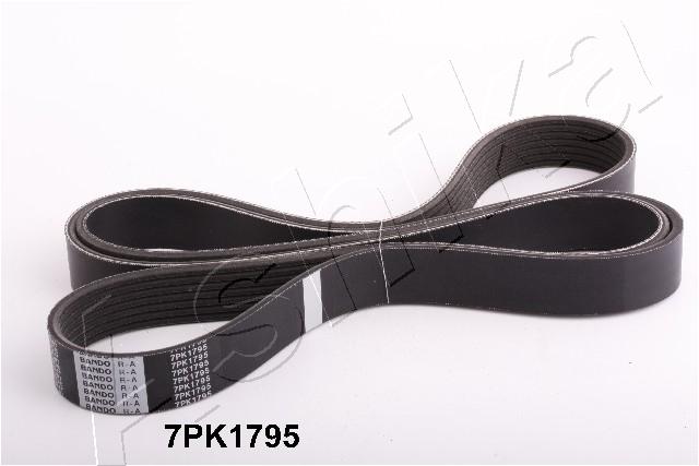V-Ribbed Belt ASHIKA 112-7PK1795