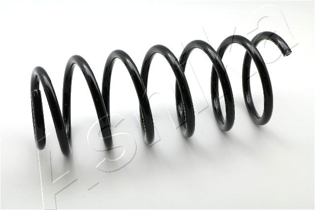 Suspension Spring ASHIKA ZCA1591G