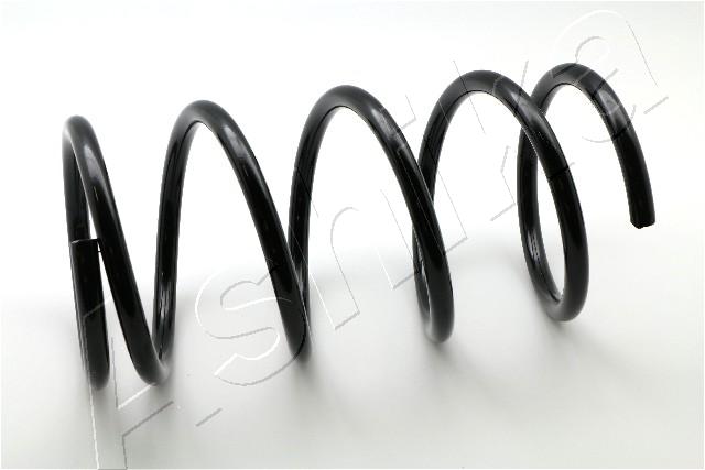 Suspension Spring ASHIKA ZCA3119A