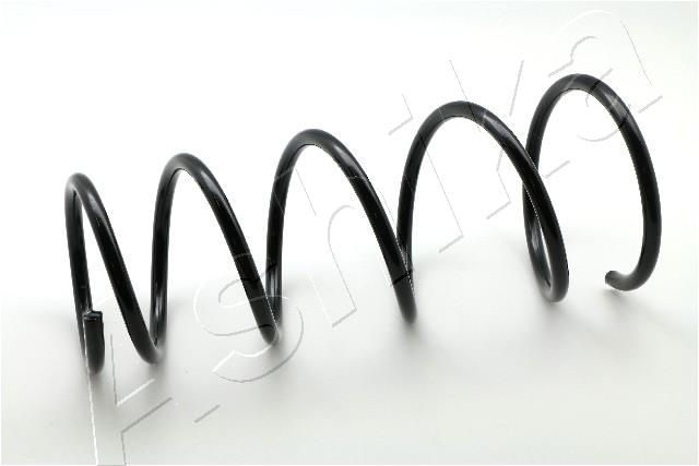 Suspension Spring ASHIKA ZCA3080G