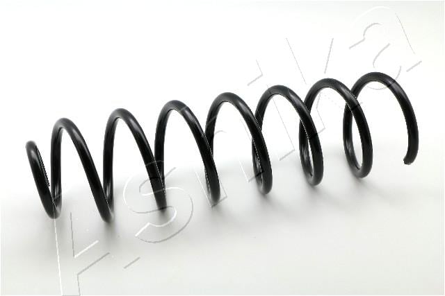 Suspension Spring ASHIKA ZCA6978A
