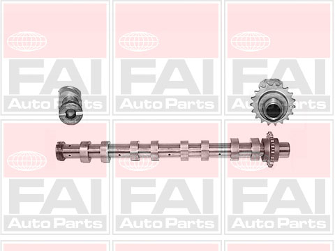 Camshaft FAI AutoParts C267
