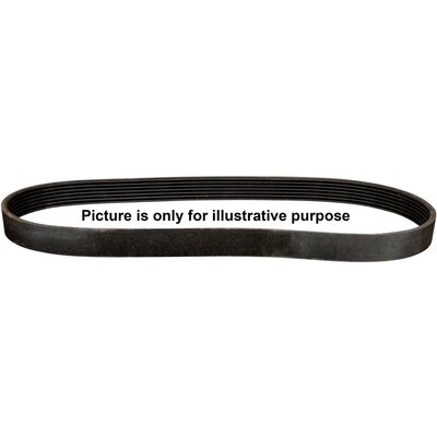 V-Ribbed Belt JP GROUP 4318100900