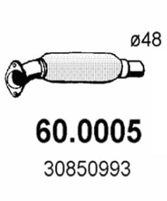 Catalytic Converter ASSO 60.0005