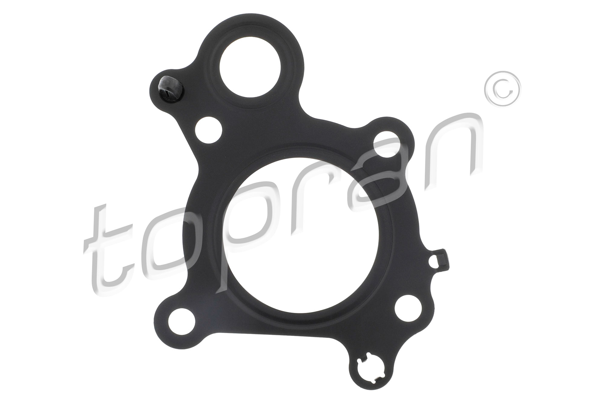 Gasket, EGR valve TOPRAN 411 267