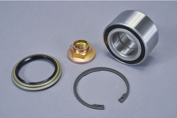 Wheel Bearing Kit AUTOMEGA 110195610