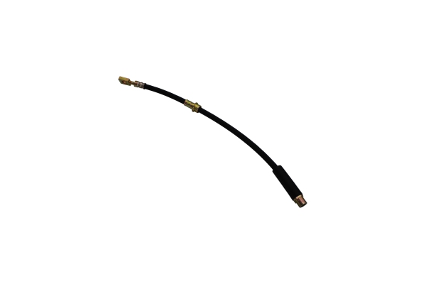 Brake Hose AUTOMEGA 120078610