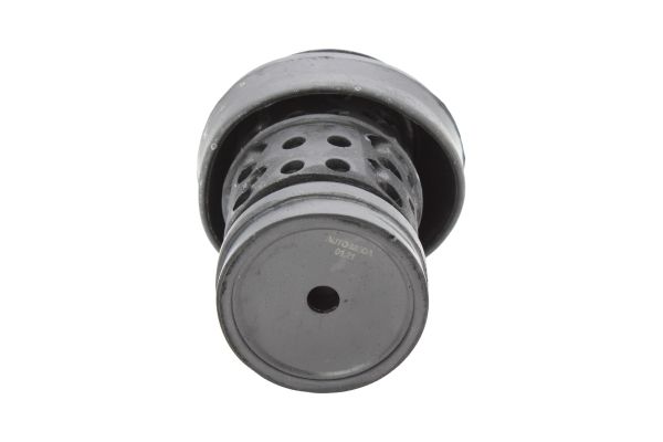 Engine Mounting AUTOMEGA 130031910