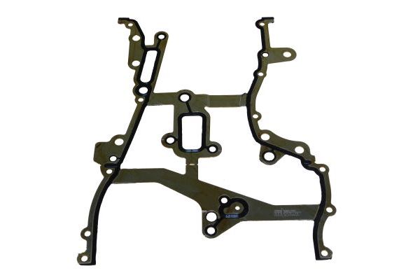 Gasket, timing case AUTOMEGA 190063310