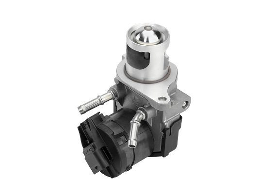 EGR Valve BorgWarner 710327D/1