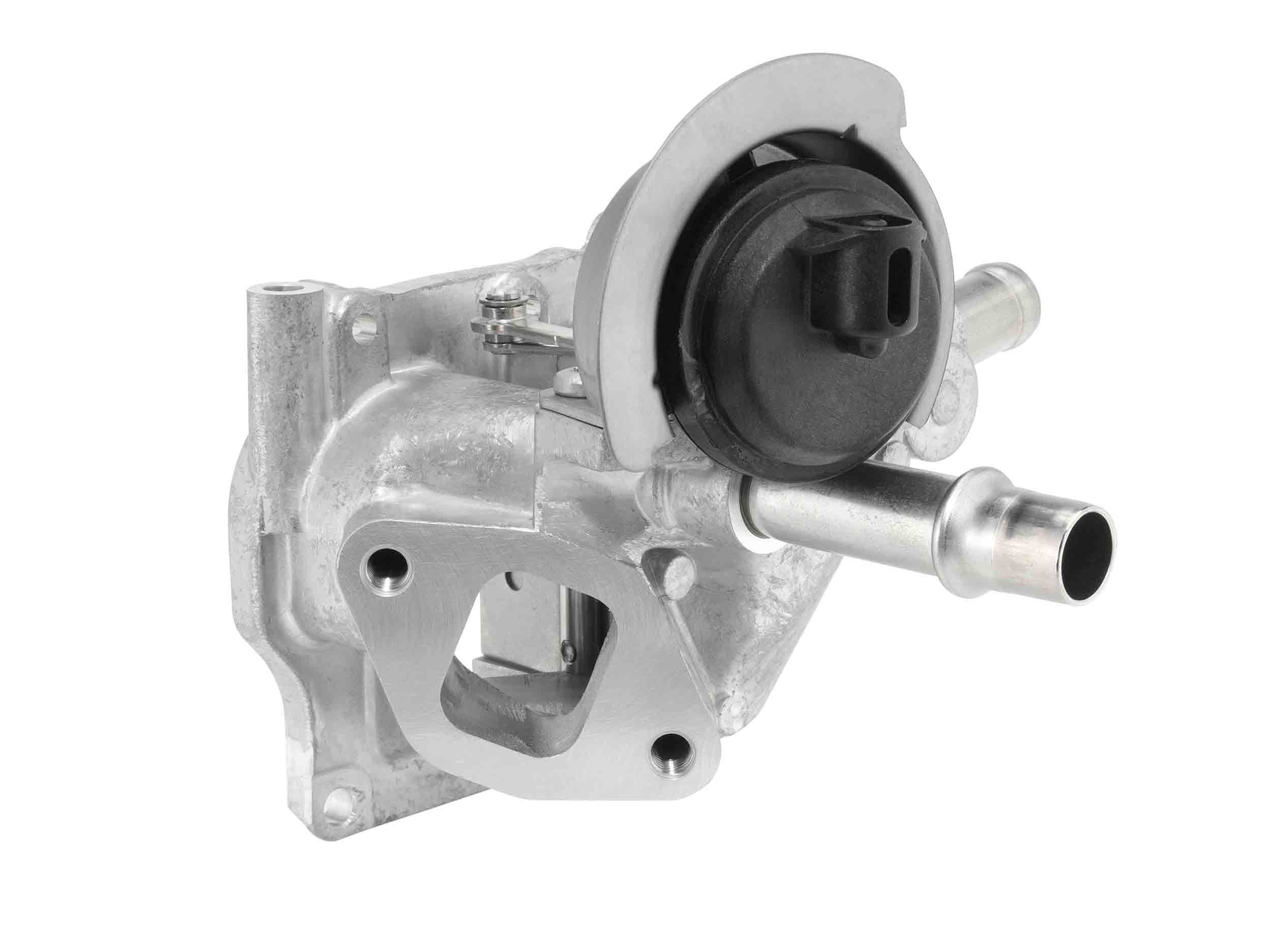 EGR Valve BorgWarner 710532D0