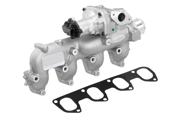 EGR Valve BorgWarner 710665D