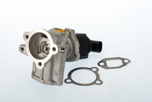 EGR Valve BorgWarner 710773D