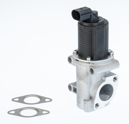 EGR Valve BorgWarner 710774D