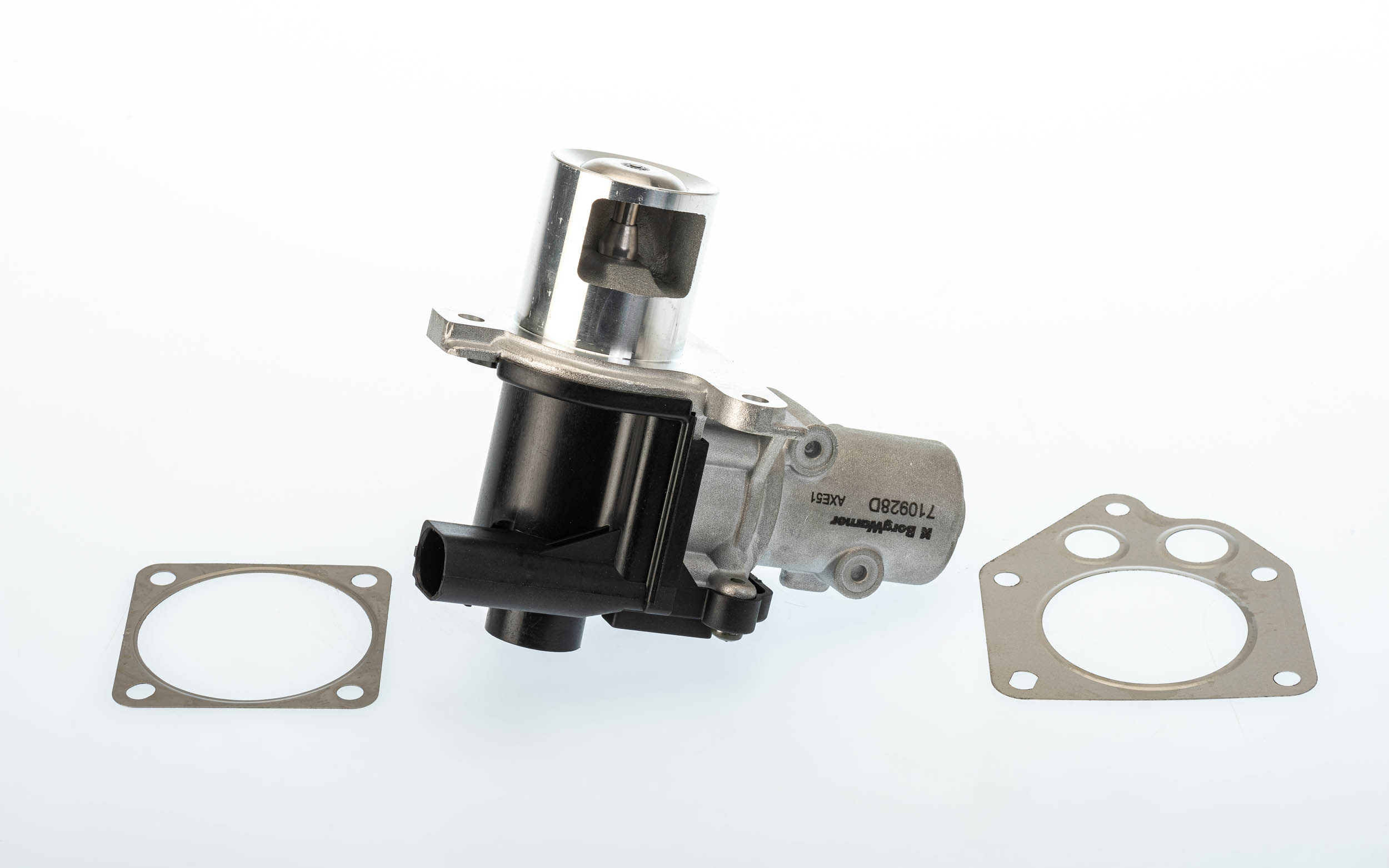 EGR Valve BorgWarner 710928D