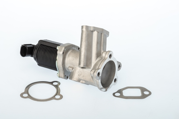 EGR Valve BorgWarner 710949D