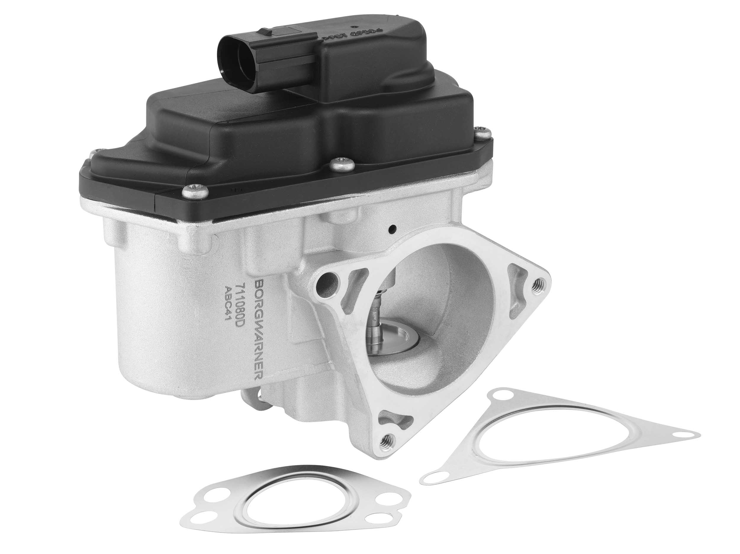 EGR Valve BorgWarner 711080D