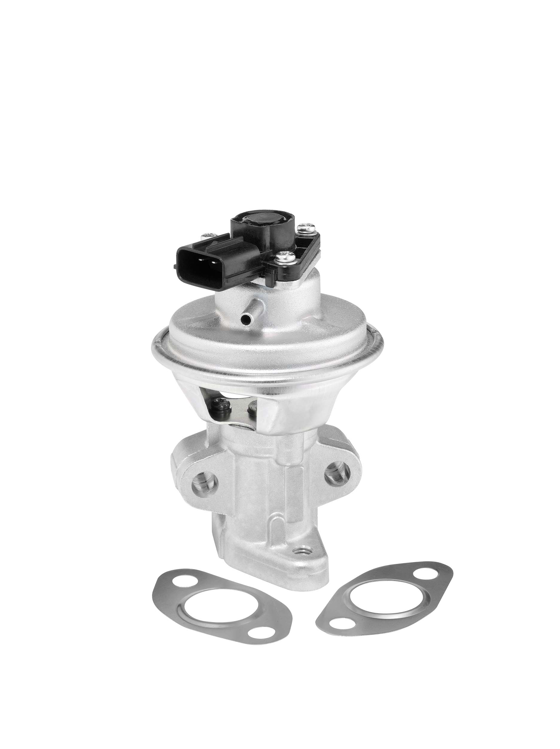 EGR Valve BorgWarner 712063D