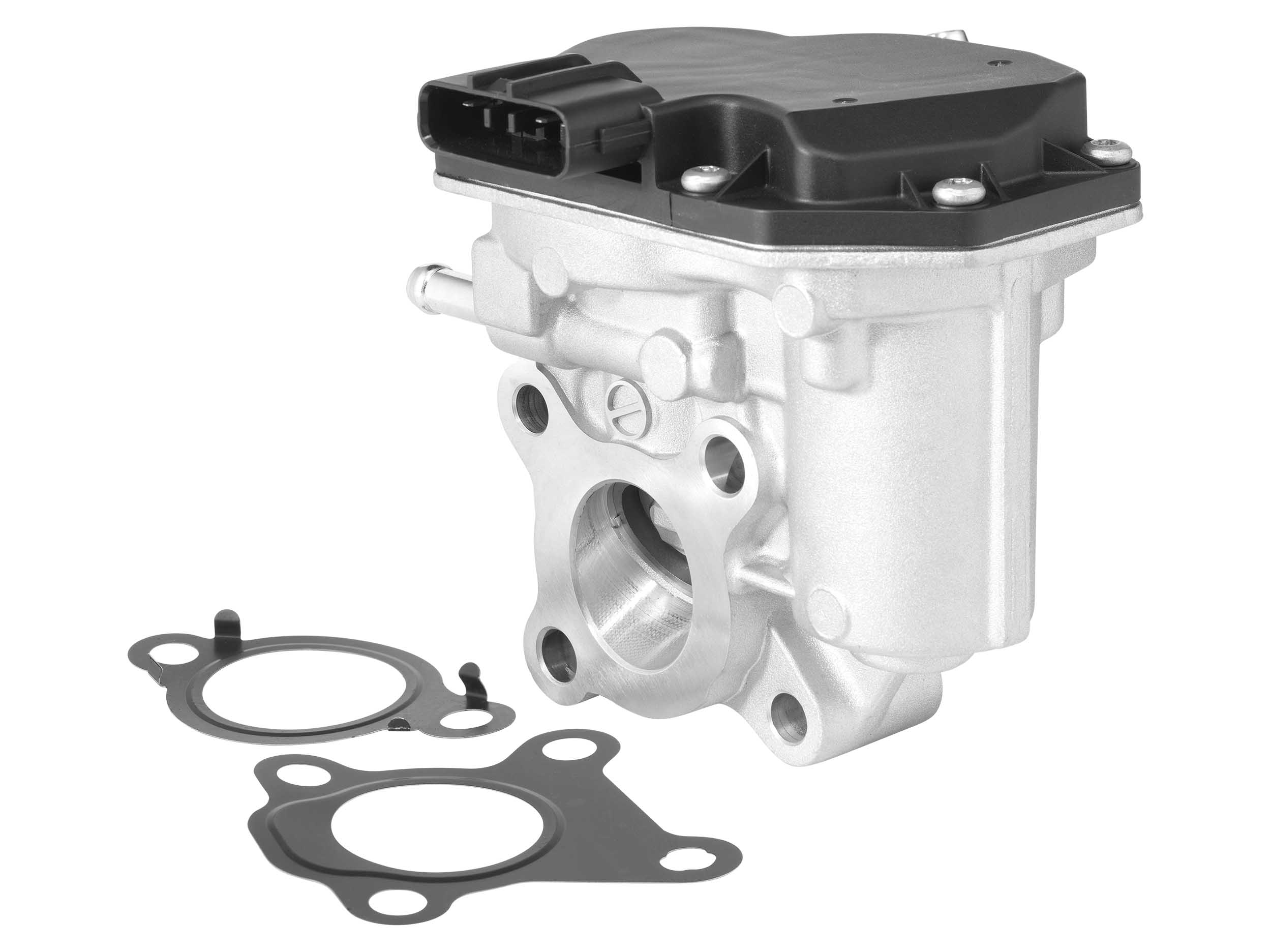 EGR Valve BorgWarner 729008D