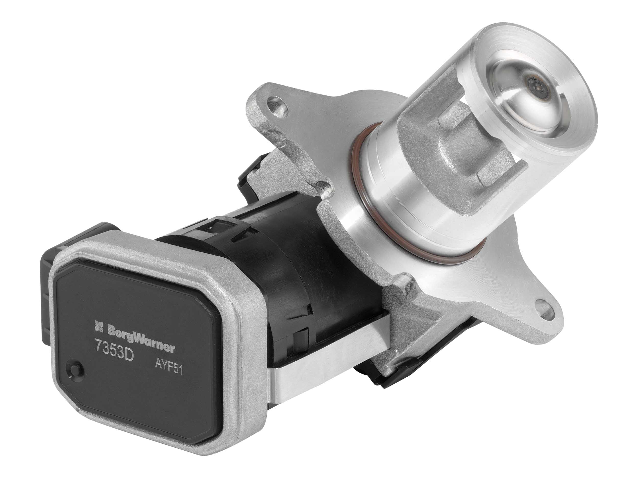 EGR Valve BorgWarner 7353D
