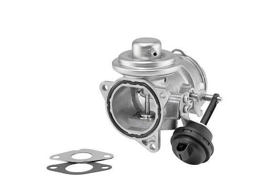 EGR Valve BorgWarner 7371D