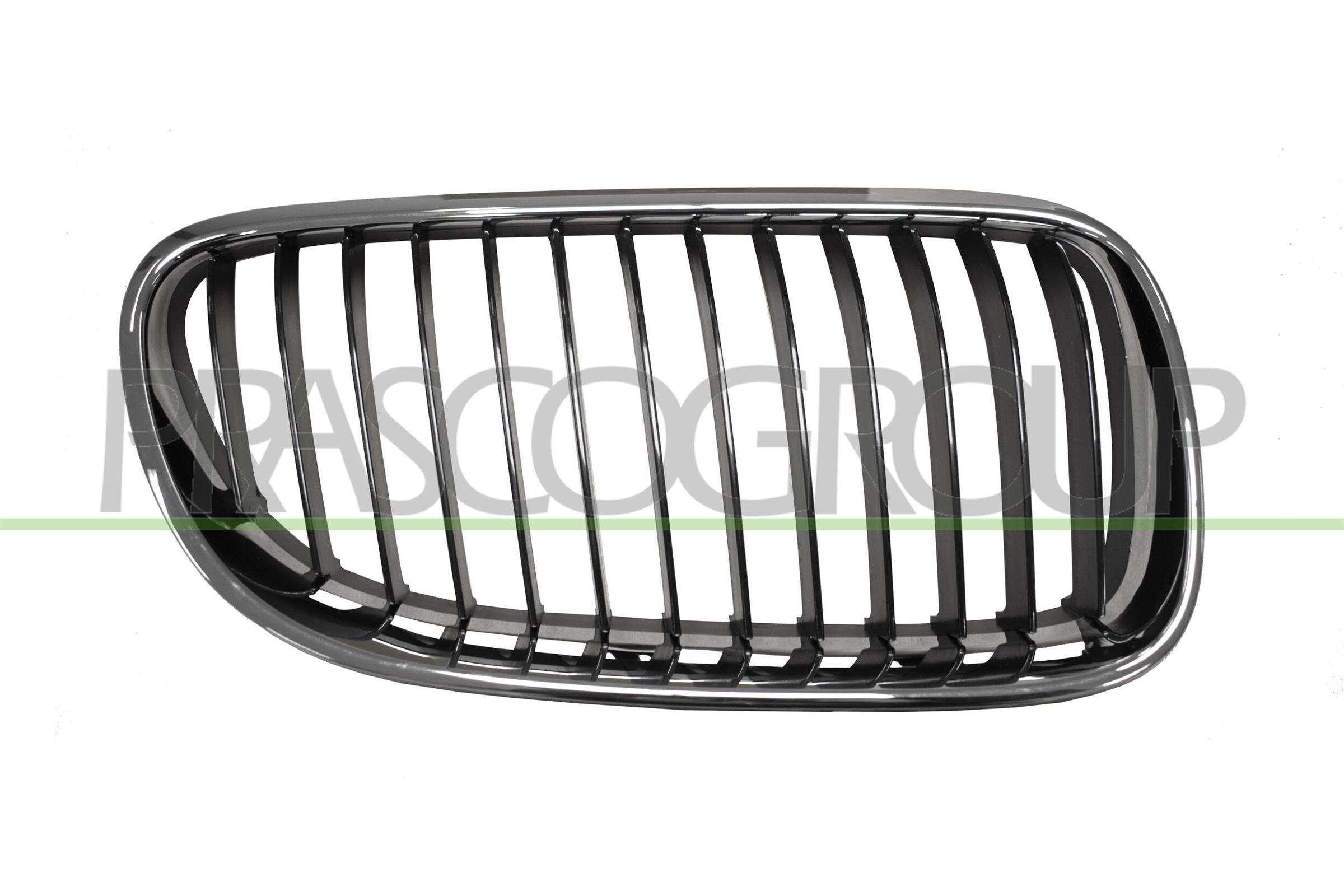 Radiator Grille PRASCO BM0252043