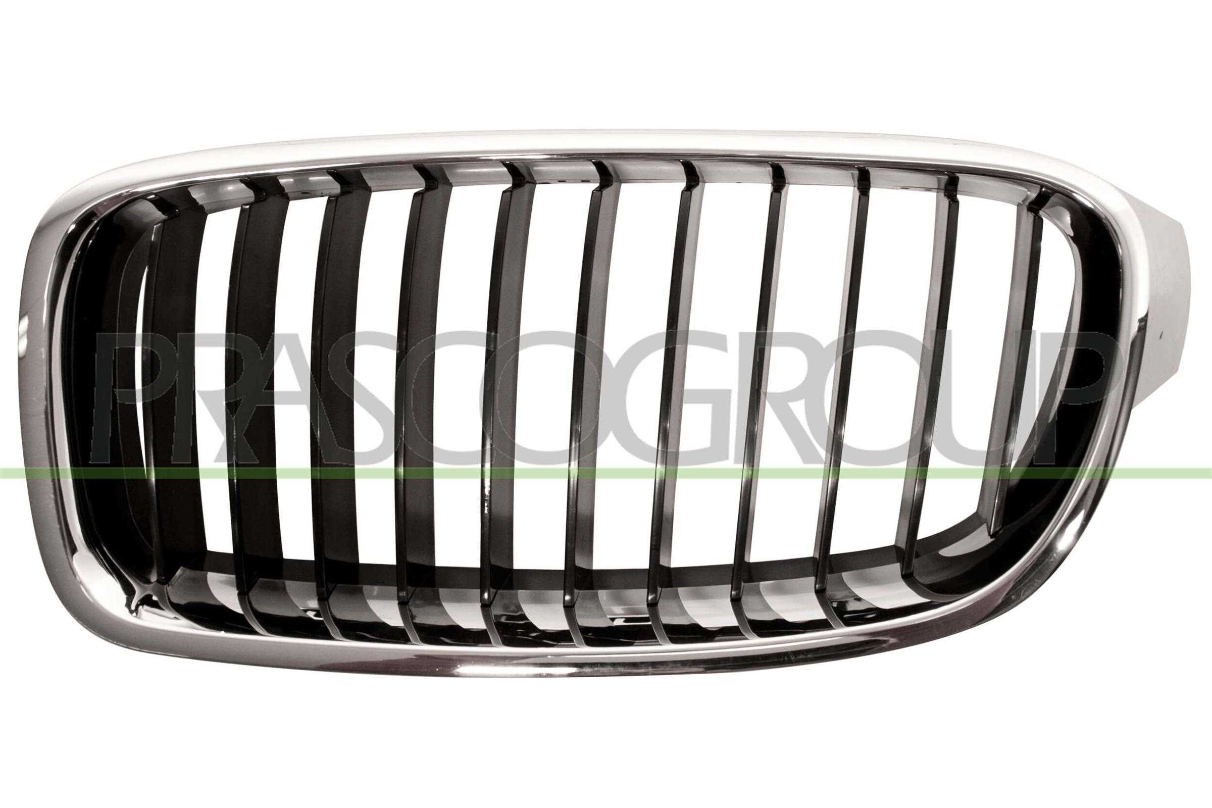 Radiator Grille PRASCO BM0282004
