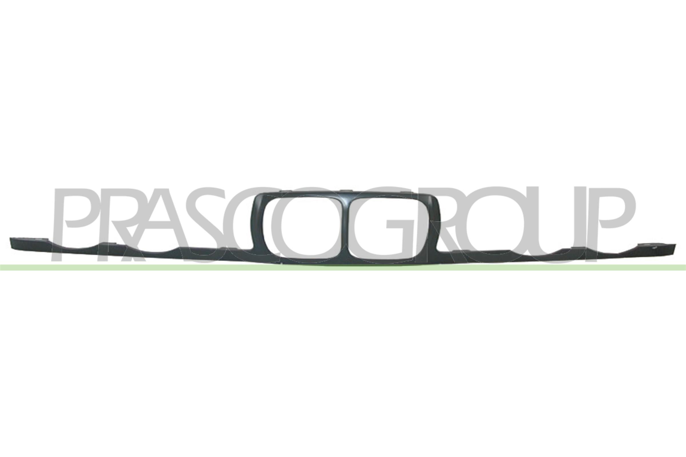 Frame, radiator grille PRASCO BM0422315