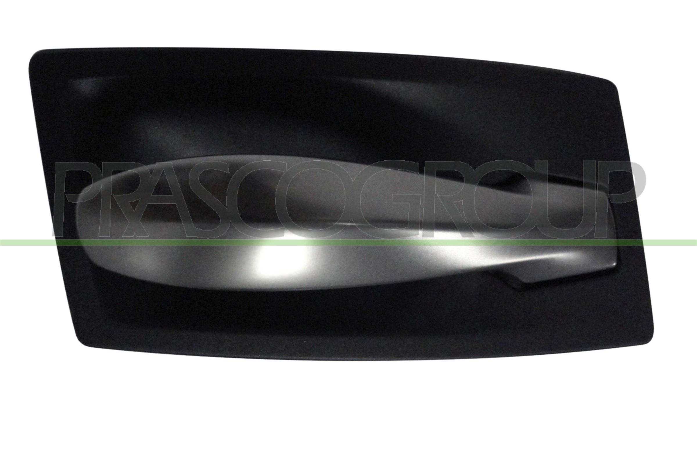 Door Handle, interior equipment PRASCO BM0468407