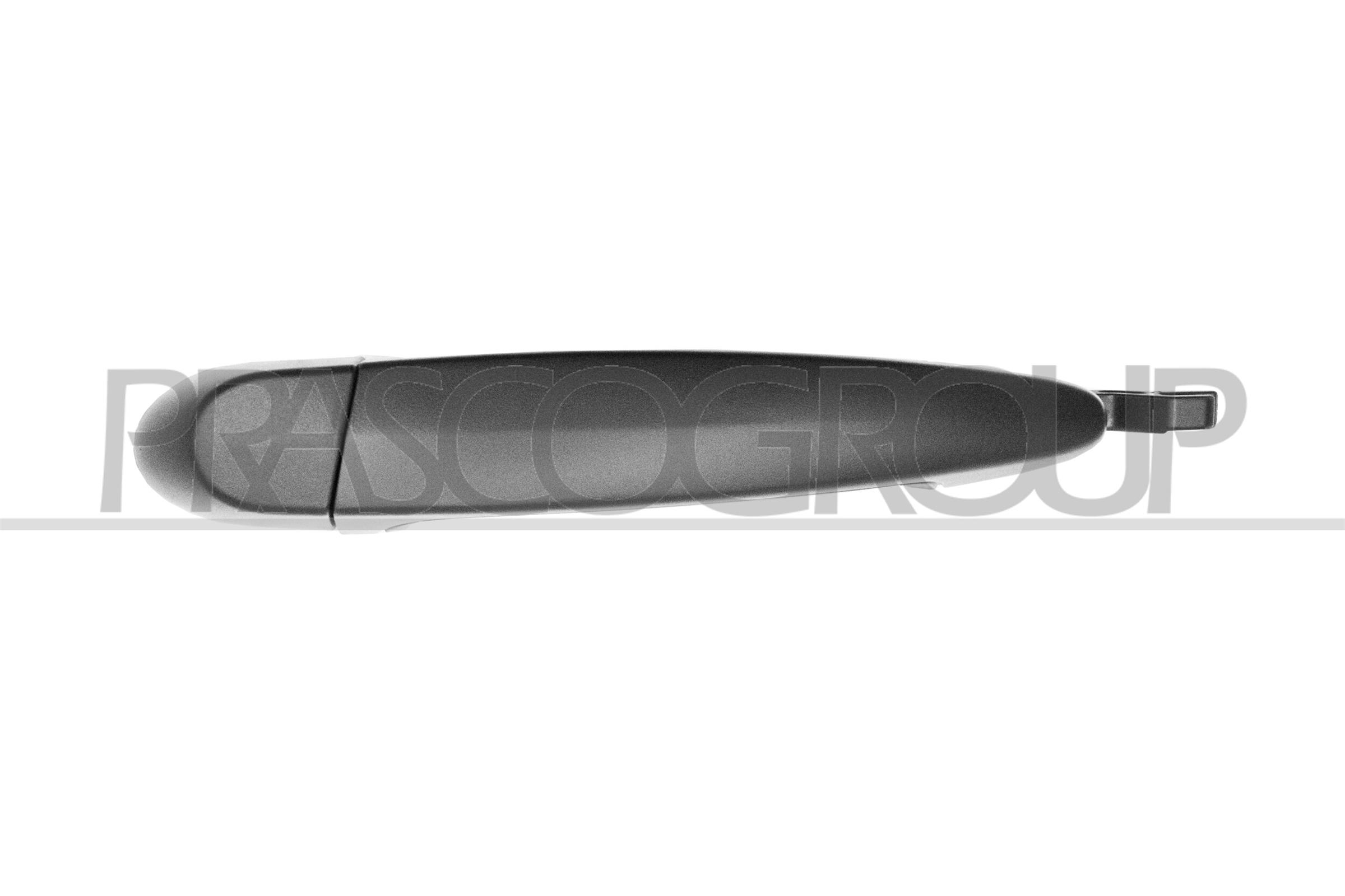 Exterior Door Handle PRASCO BM1218102