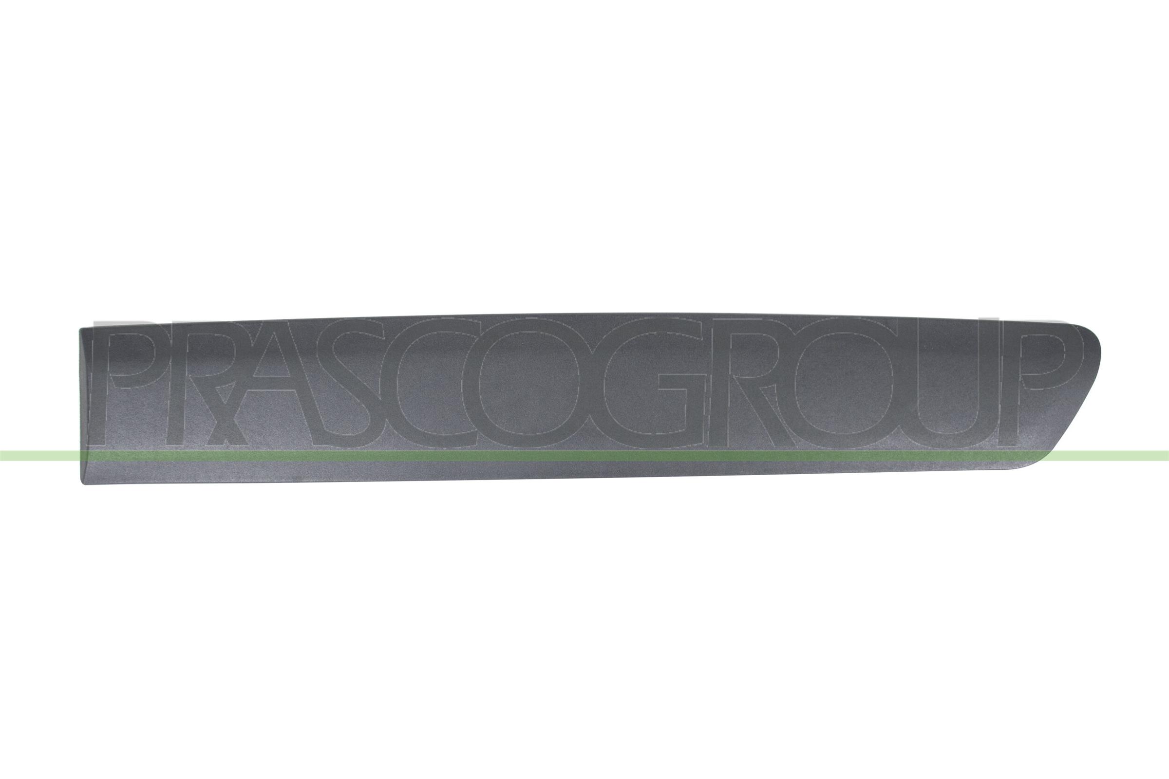 Trim/Protection Strip, door PRASCO CI9181454