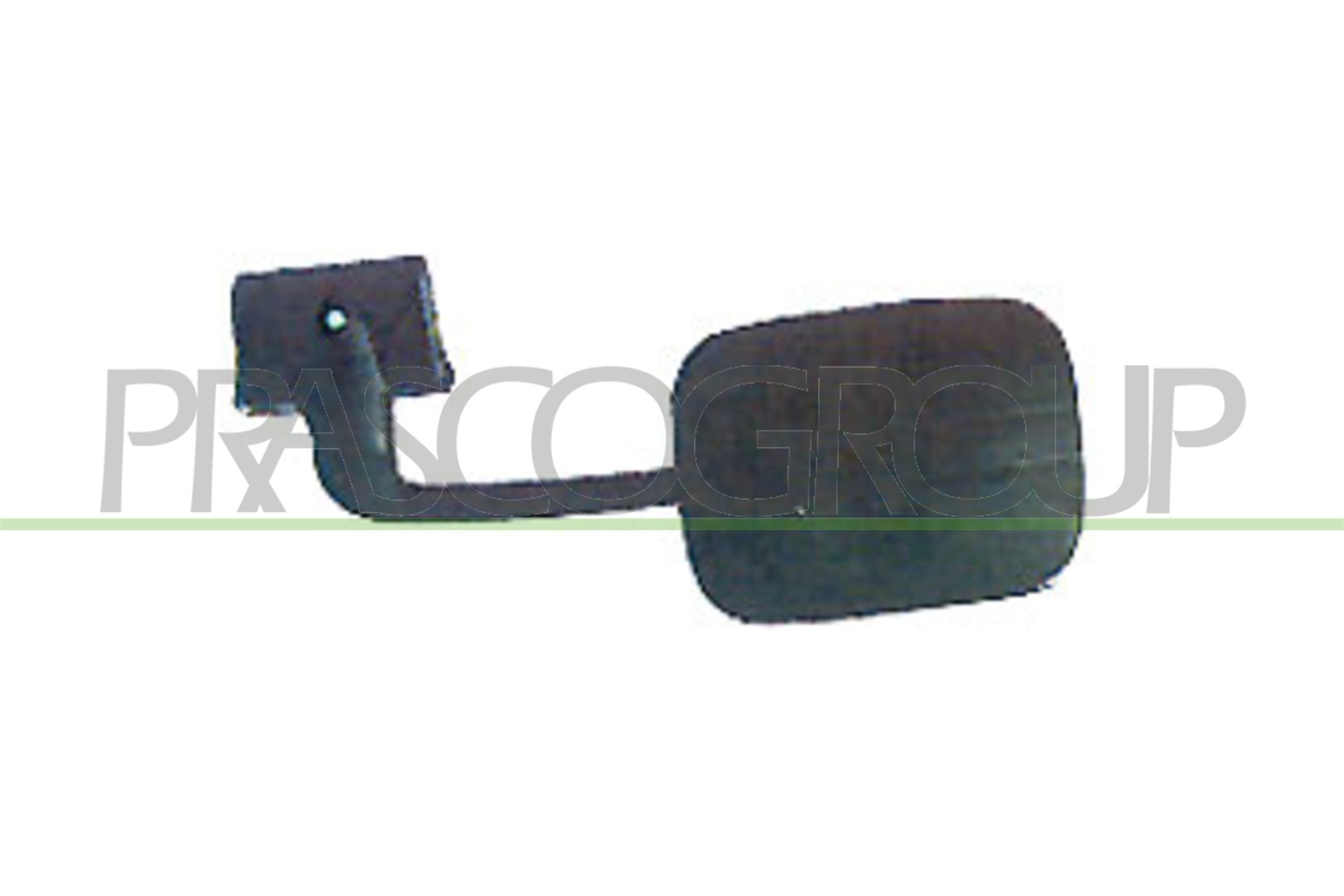 Exterior Mirror PRASCO CI9017003