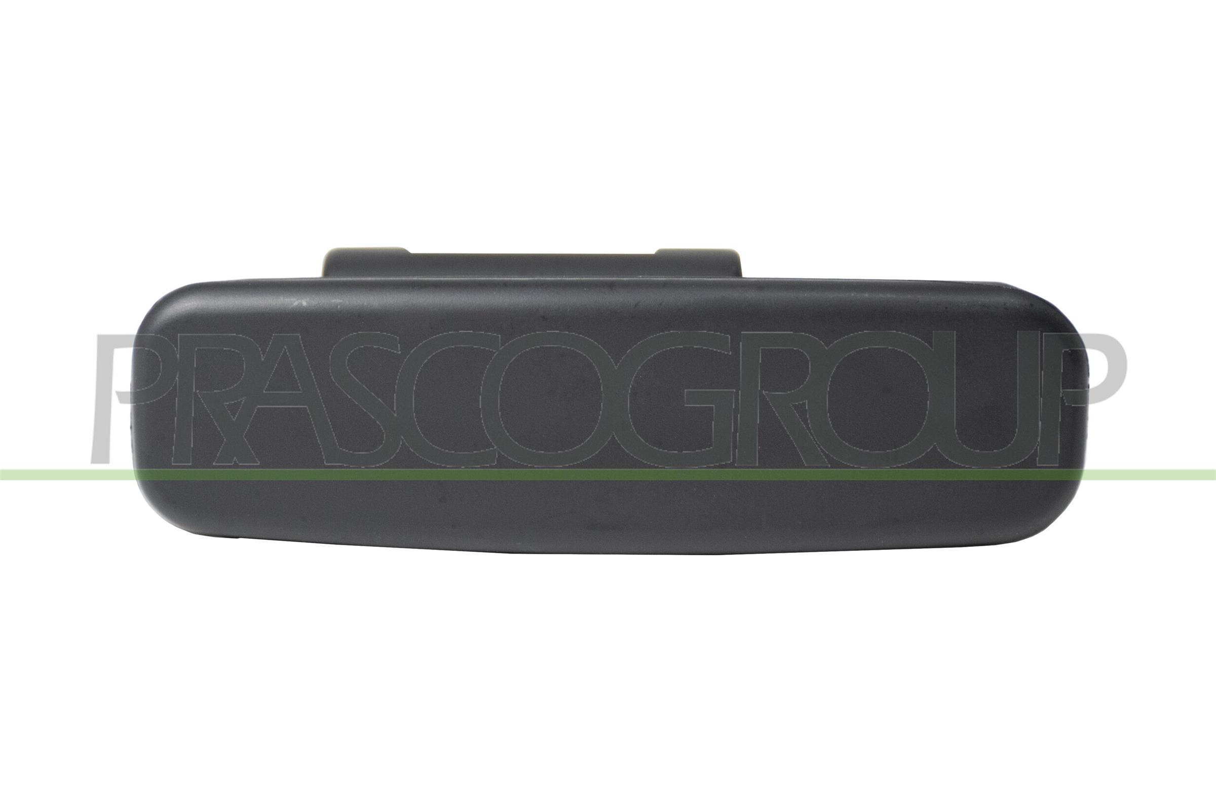 Exterior Door Handle PRASCO CI9158321
