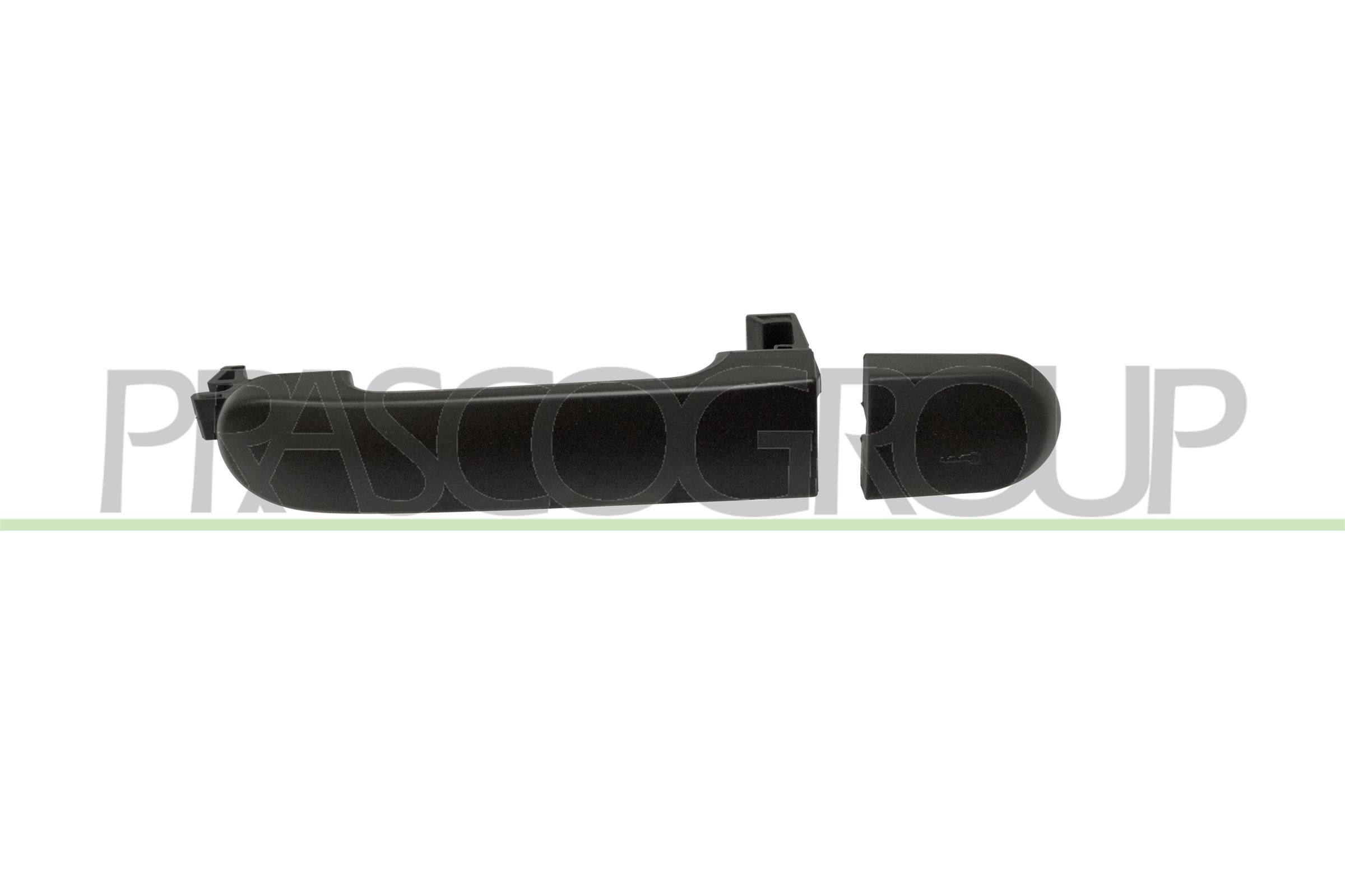 Exterior Door Handle PRASCO DS0118208