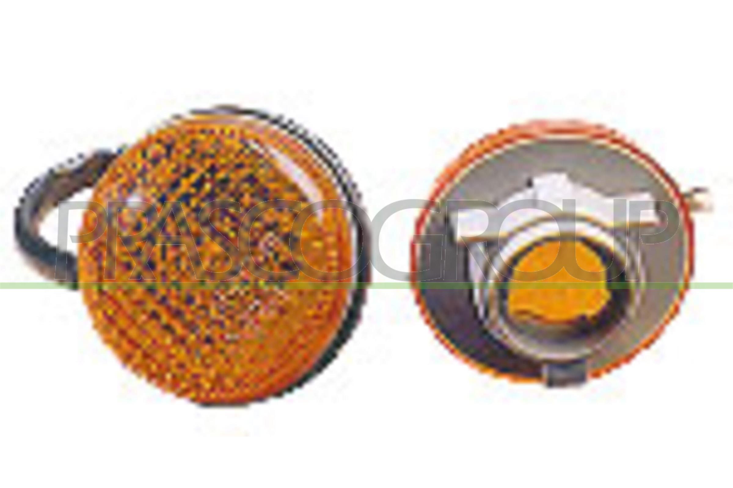 Direction Indicator PRASCO DS0054139