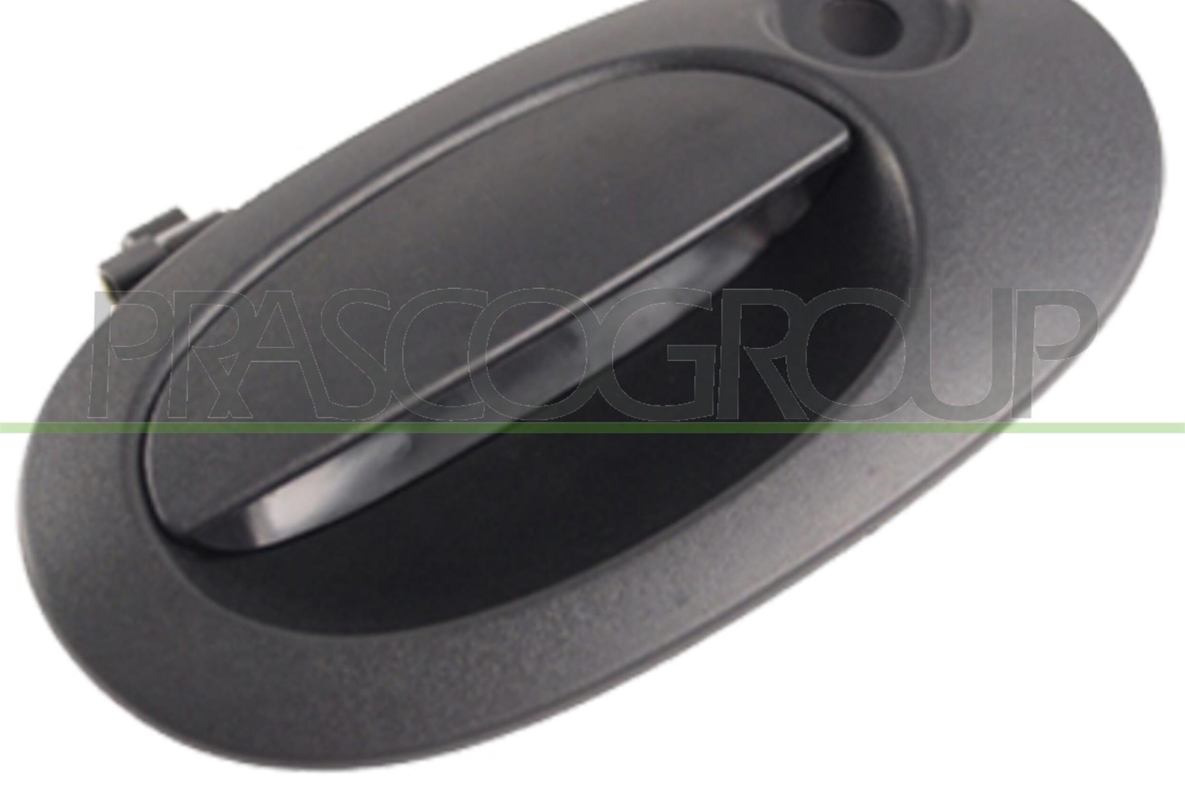 Exterior Door Handle PRASCO DS9178351